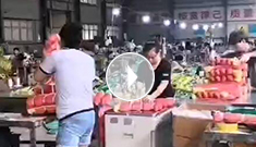 XPJ柔性吊带打包