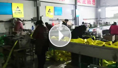 XPJ吊装带车间新增设备：吊装带带皮传输带